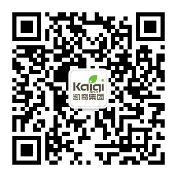 秋千蕩進元宇宙:無動力游樂設施的AR變革 秋千蕩進元宇宙:無動力游樂設施的AR變革